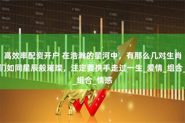 高效率配资开户 在浩瀚的星河中，有那么几对生肖，它们如同星辰般璀璨，注定要携手走过一生_爱情_组合_情感